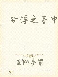 公浮之手中字5