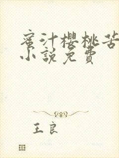 蜜汁樱桃苦咖啡小说免费