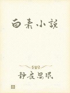 白素小说