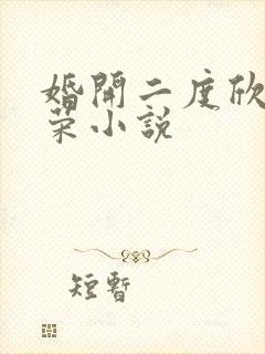 婚开二度欣欣向荣小说