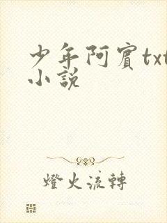 少年阿宾txt小说