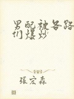 男配被各路大佬们爆炒