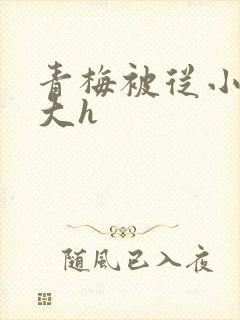 青梅被从小摸到大h