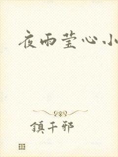 夜雨莹心小说