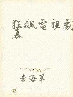 狂飙电视剧演员表