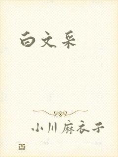 白文采