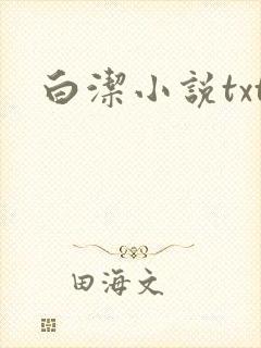 白洁小说txt