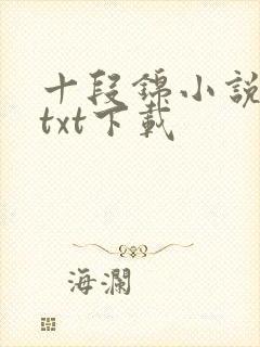 十段锦小说全本txt下载