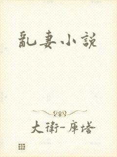 乱妻小说