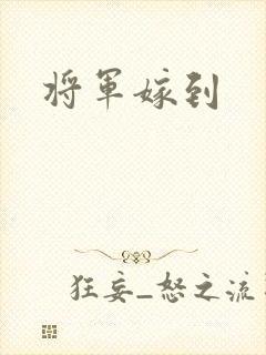 将军嫁到