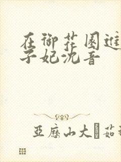 在御花园进入太子妃沈音