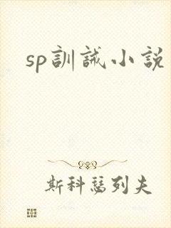 sp训诫小说