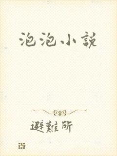 泡泡小说