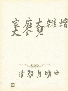 家庭大杂烩小说大全儿