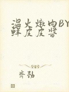 温火炖肉BY海鲜皮皮酱