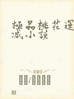 极品桃花运未删减小说