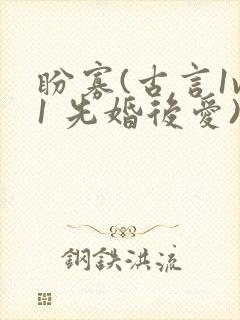 盼寡(古言1v1 先婚后爱)荔枝好多