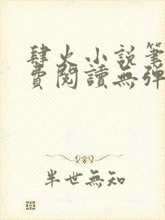 肆火小说笔趣免费阅读无弹窗