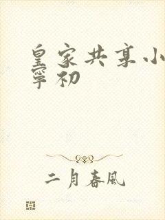 皇家共享小公主宁初