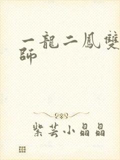 一龙二凤双飞老师