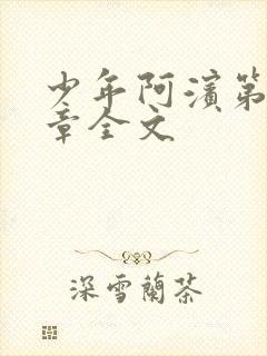 少年阿滨第13章全文