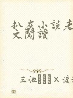 扒灰小说老马全文阅读