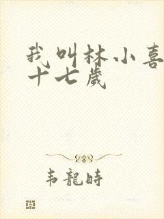我叫林小喜今年十七岁