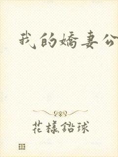 我的娇妻公务员