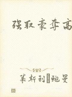 强取豪夺高干文