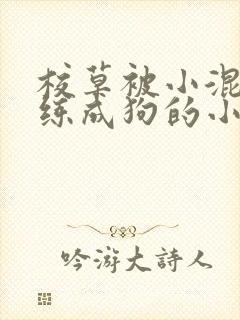 校草被小混混训练成狗的小说