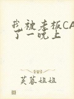 我被老板CAO了一晚上