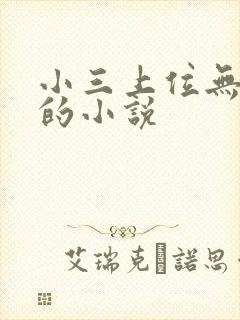 小三上位无三观的小说