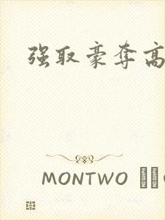 强取豪夺高干文