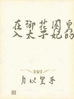 在御花园皇上进入太子妃的小说