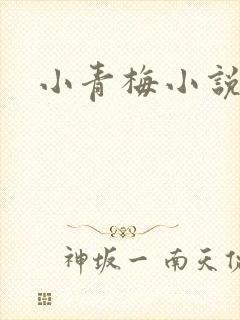 小青梅小说