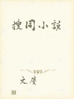 搜同小说