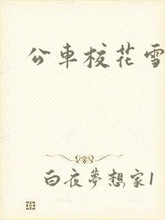公车校花雪柔h