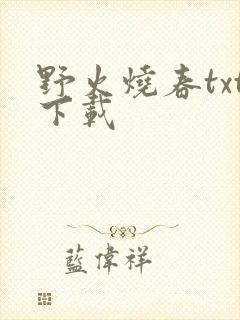 野火烧春txt下载