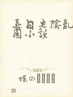 长日光阴乱作一团小说