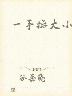 一手抚大小说