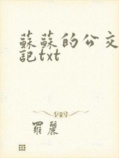 苏苏的公交车日记txt