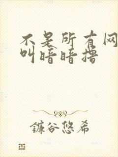 不是所有网站都叫暗暗撸