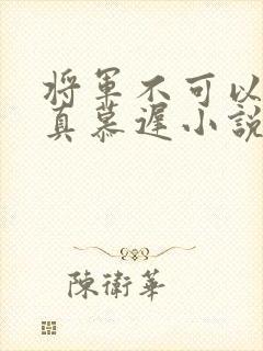 将军不可以魏云真慕迟小说笔趣阁