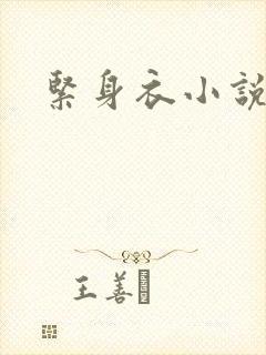 紧身衣小说