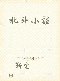 北斗小说