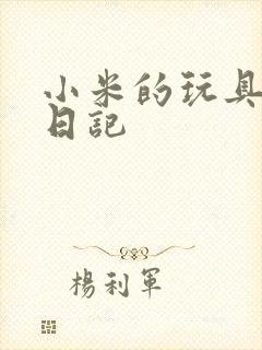 小米的玩具羞辱日记
