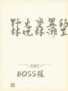 野火变异的父爱林晚林潮生