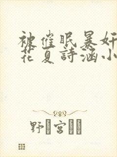 被催眠暴奸的校花夏诗涵小说