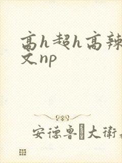 高h超h高辣h文np