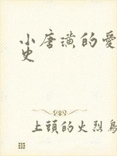 小唐璜的爱情历史